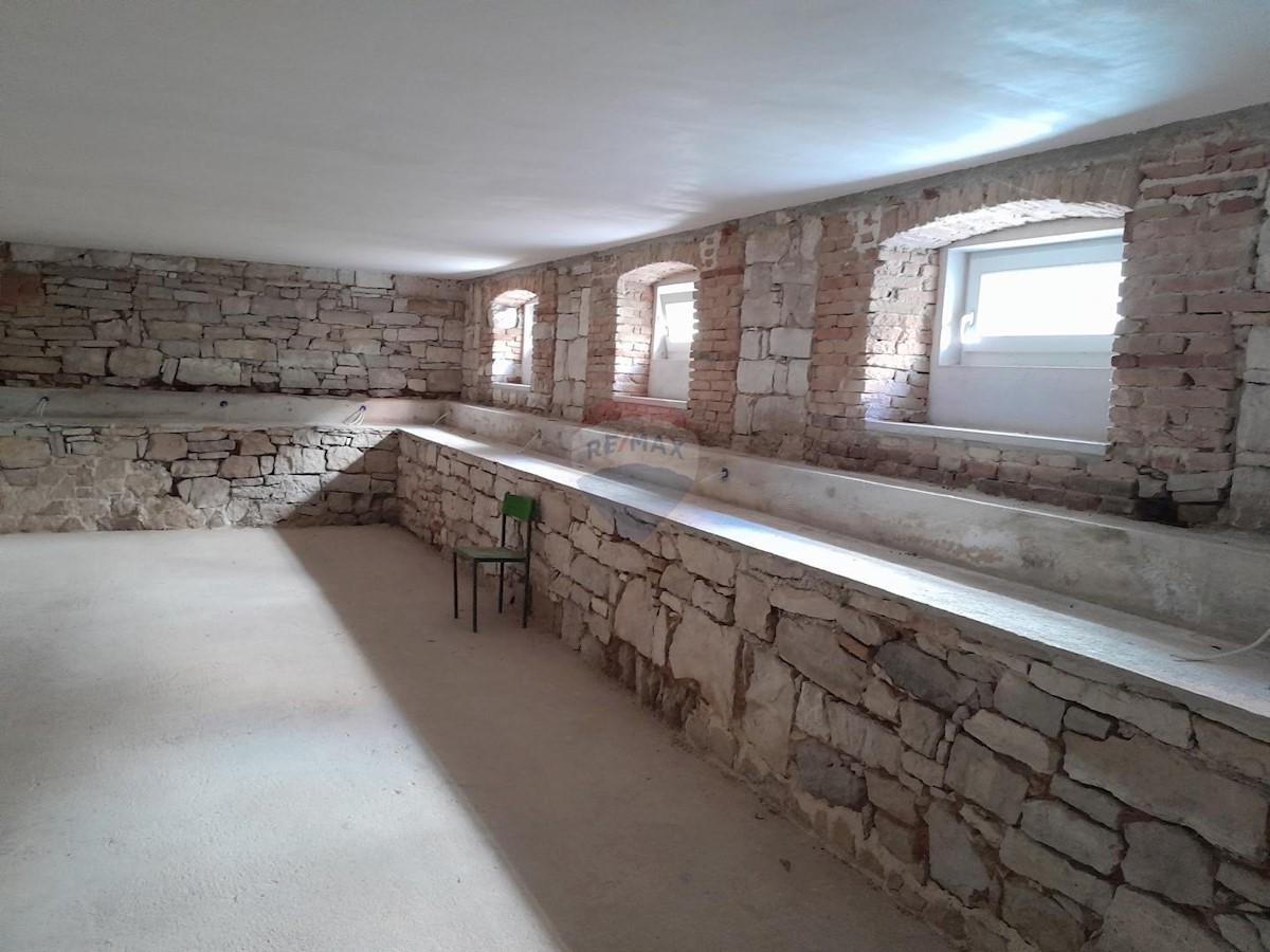 Business premises For rent - ISTARSKA PULA