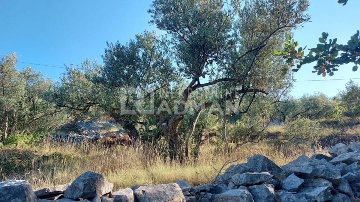 Pozemok na predaj 703 m² – Rogač