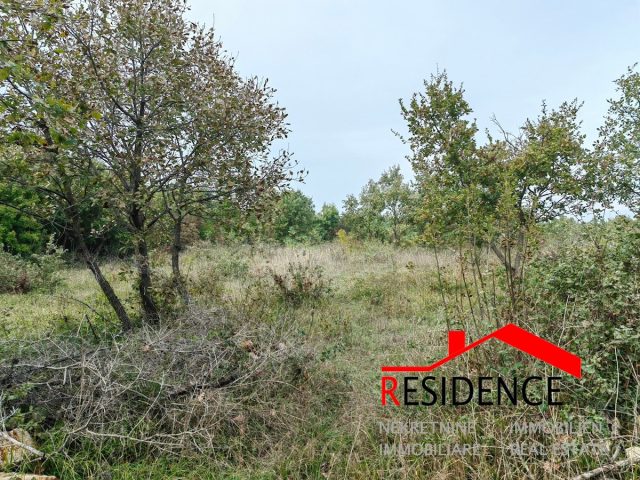 Zemljište na prodaju 7949 m² – Gajana
