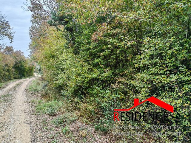 Zemljište na prodaju 9162 m² – Bale
