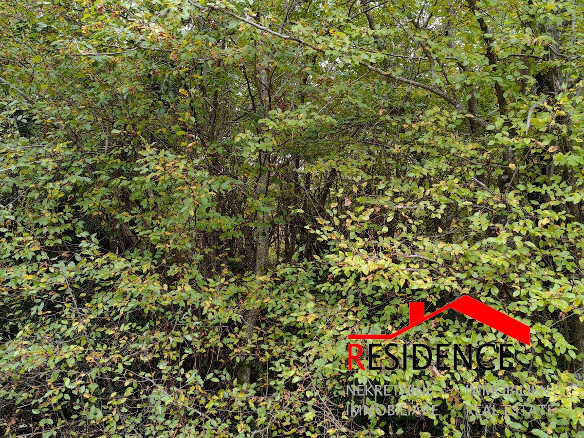 Land For sale - ISTARSKA Bale