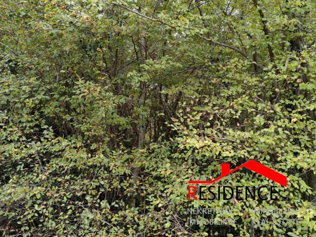 Pozemek na prodej 6952 m² – Bale