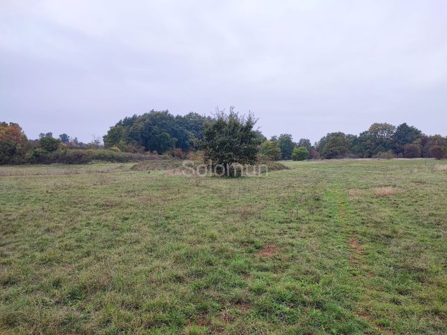 Parcela na predaj 174551 m² – Kanfanar