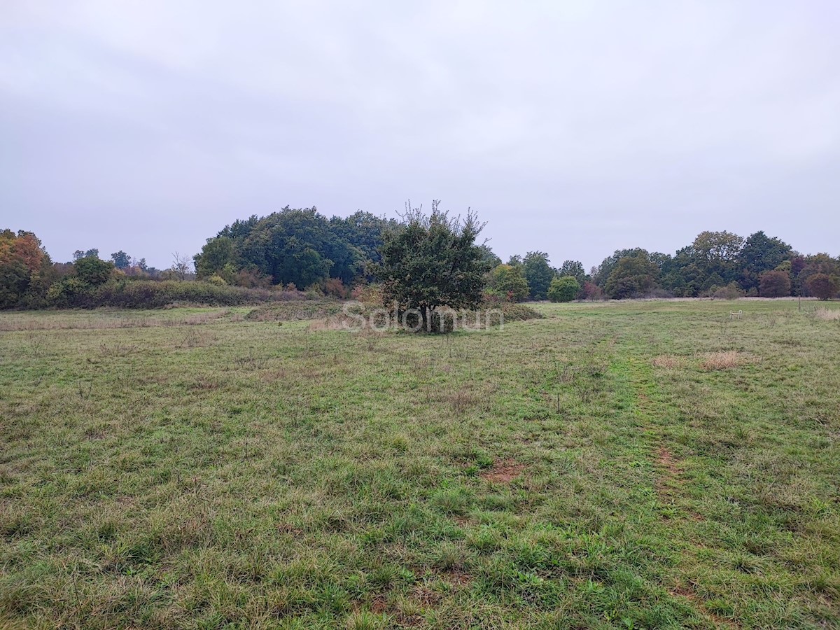 Terreno In vendita - ISTARSKA KANFANAR