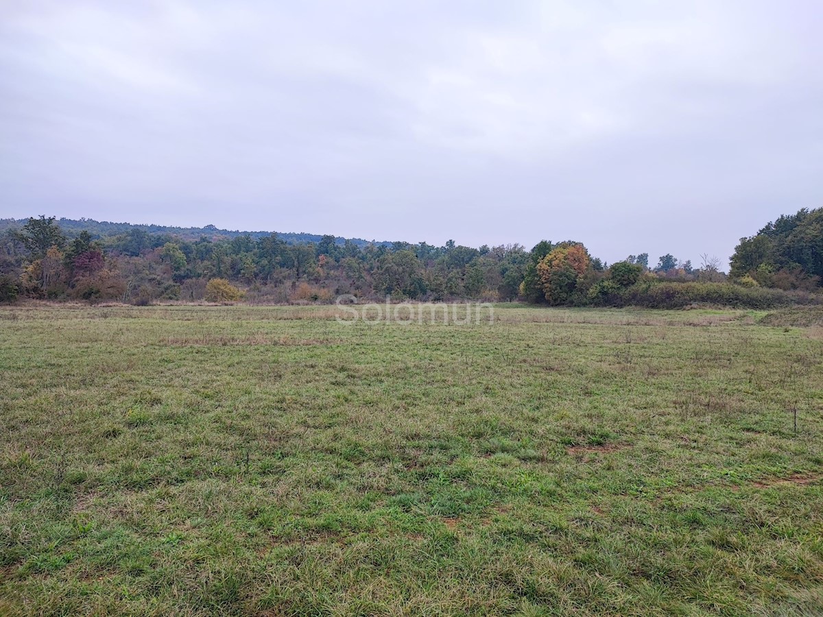 Terreno In vendita - ISTARSKA KANFANAR