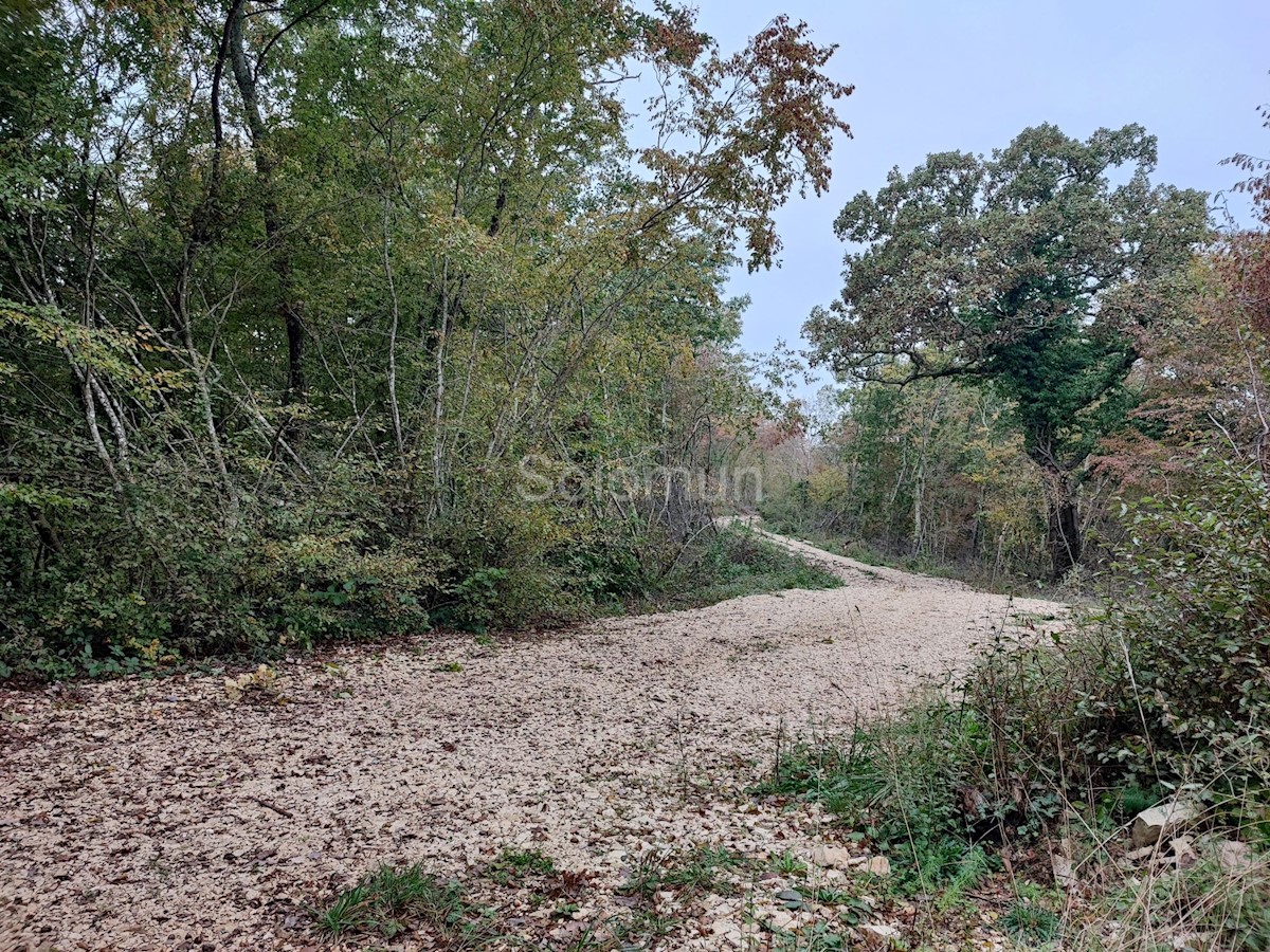 Terreno In vendita - ISTARSKA KANFANAR