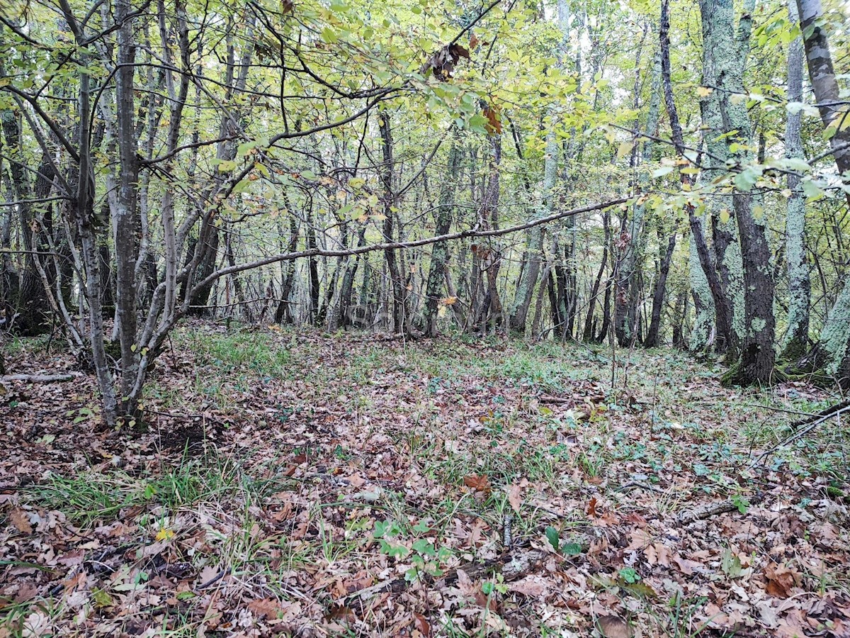 Terreno In vendita - ISTARSKA KANFANAR