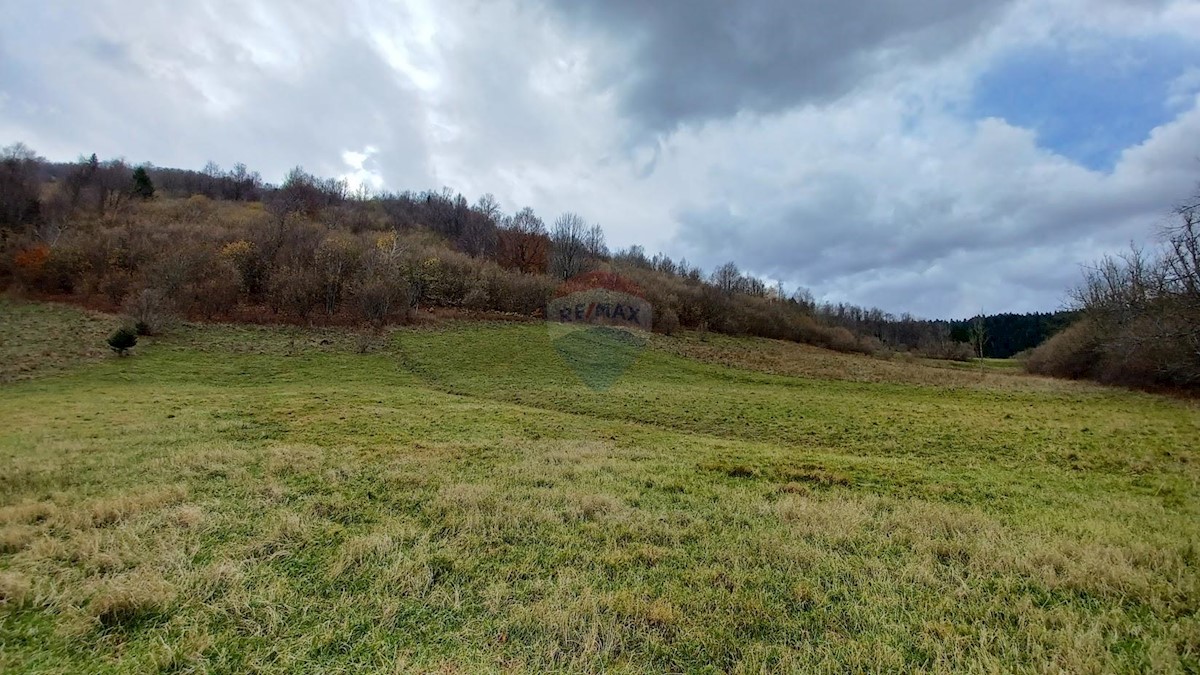 Land For sale - PRIMORSKO-GORANSKA MRKOPALJ