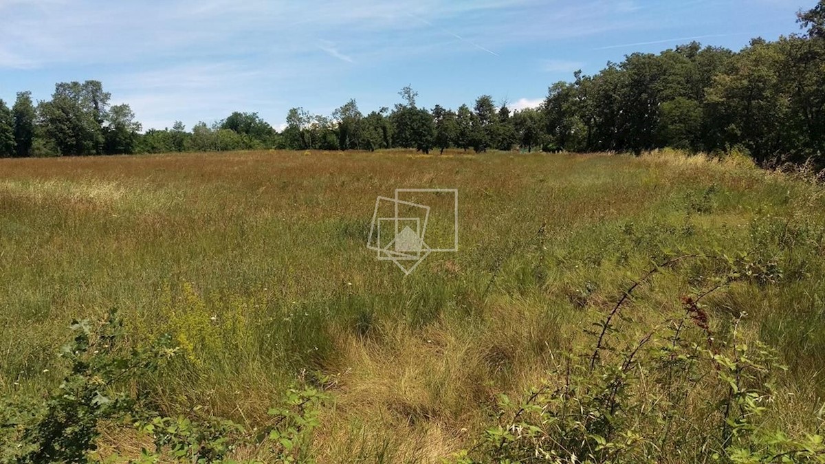 Land For sale - ISTARSKA UMAG