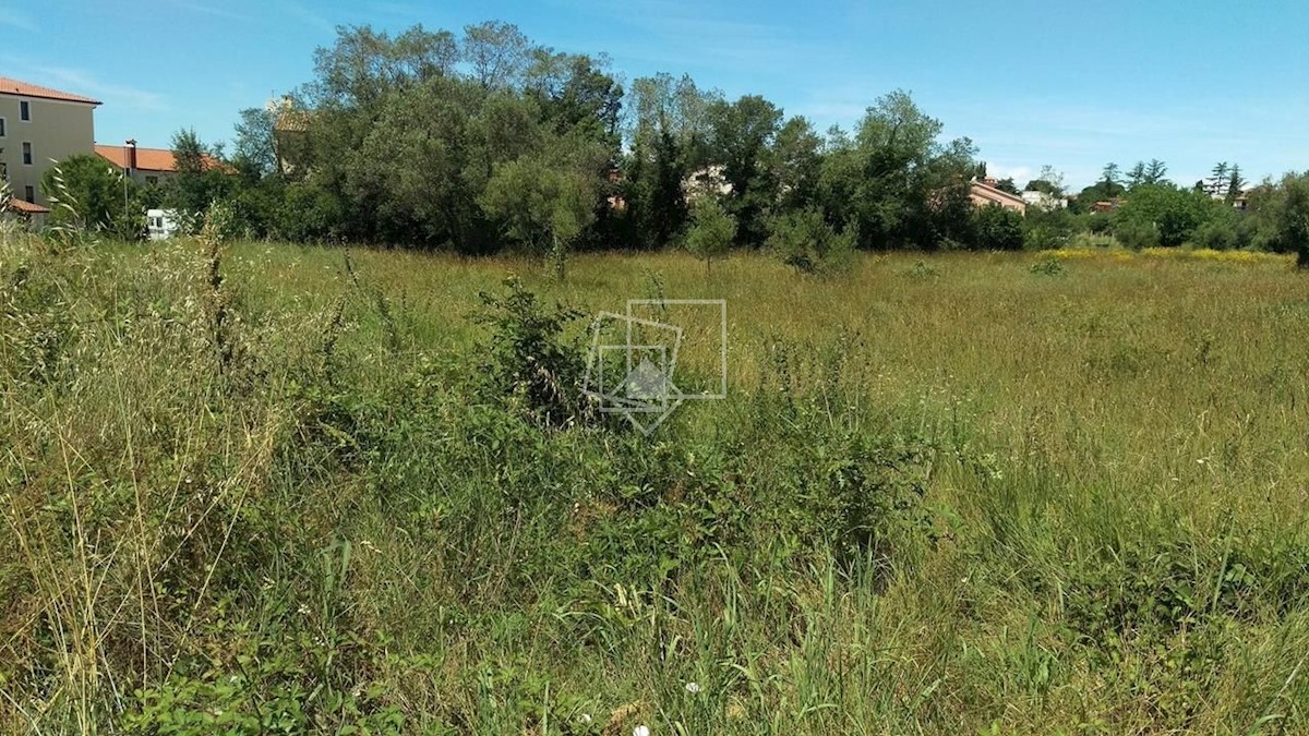 Land For sale - ISTARSKA UMAG