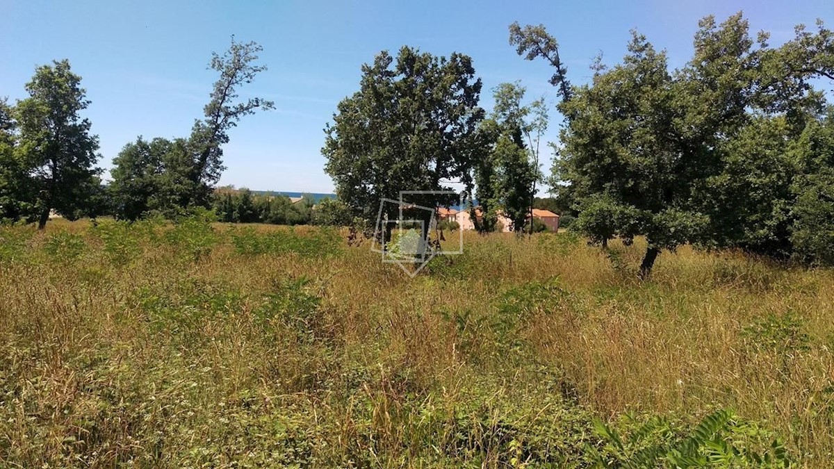 Terrain À vendre - ISTARSKA UMAG