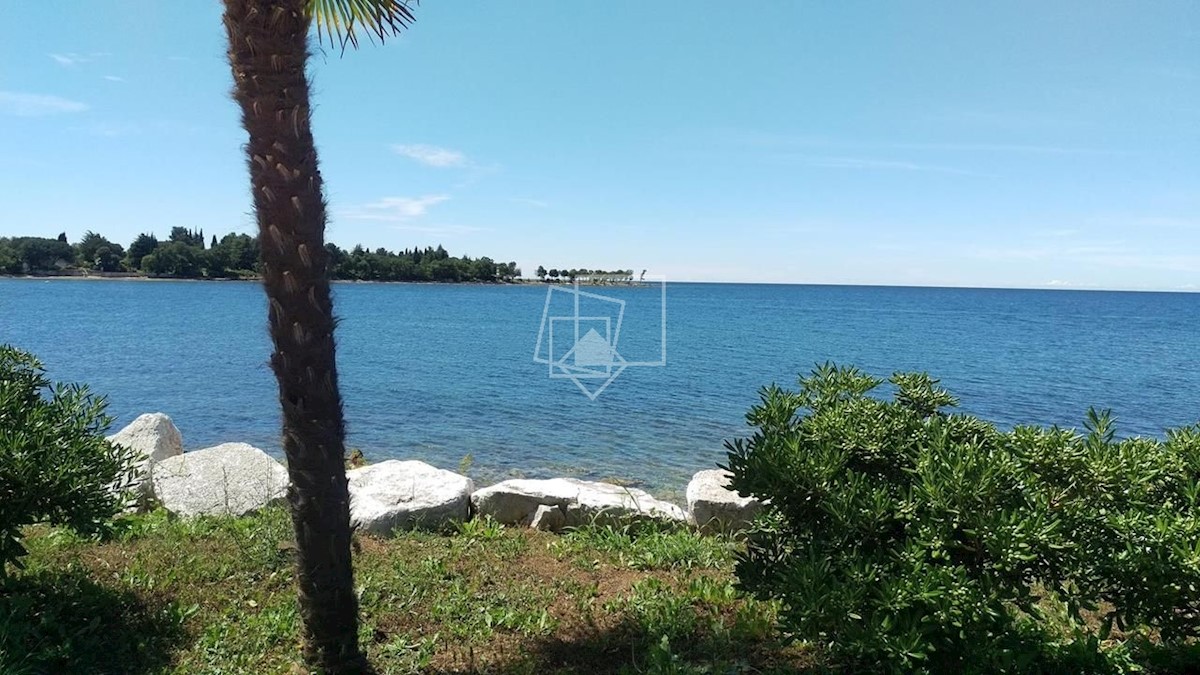 Land For sale - ISTARSKA UMAG