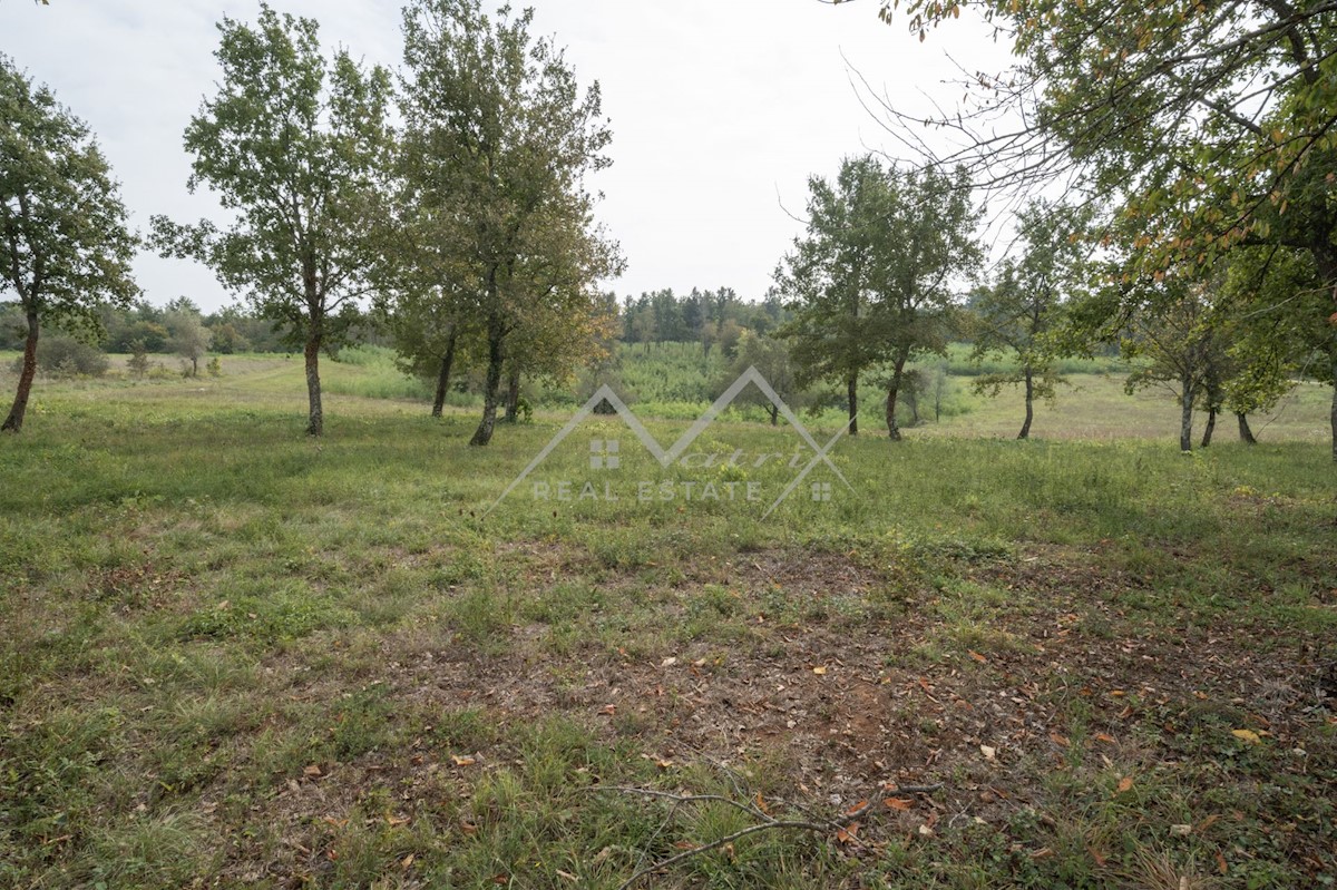 Land For sale - ISTARSKA POREČ