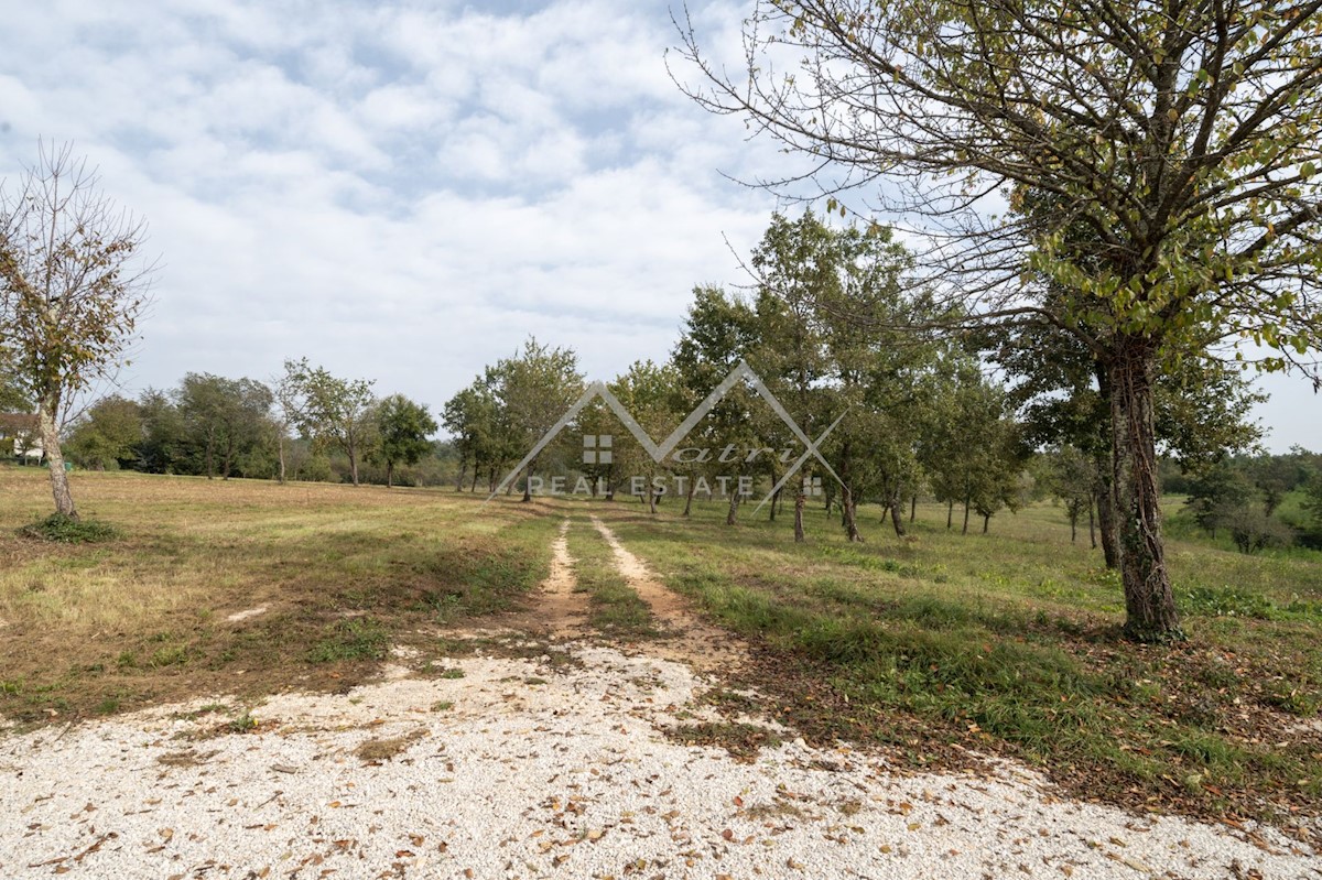 Land For sale - ISTARSKA POREČ