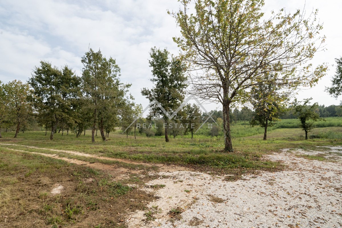 Land For sale - ISTARSKA POREČ