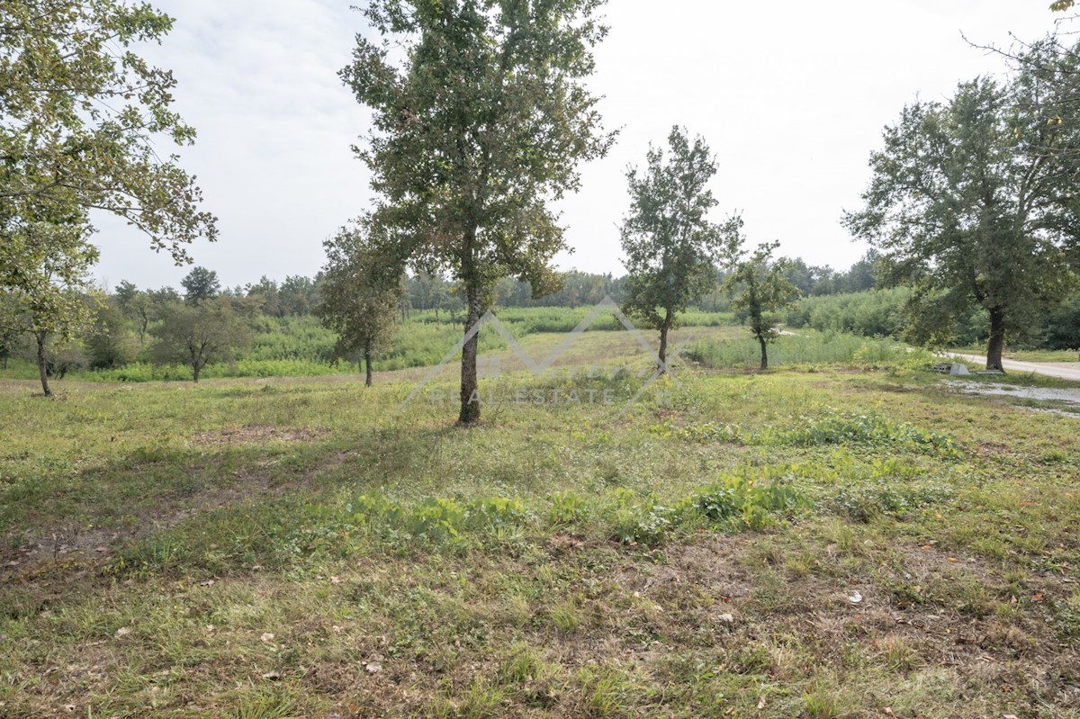 Land For sale - ISTARSKA POREČ