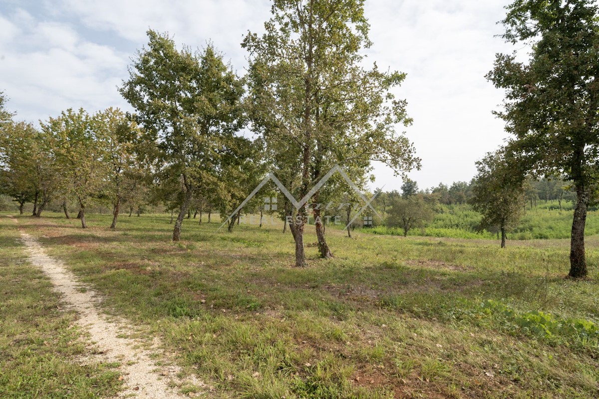 Land For sale - ISTARSKA POREČ