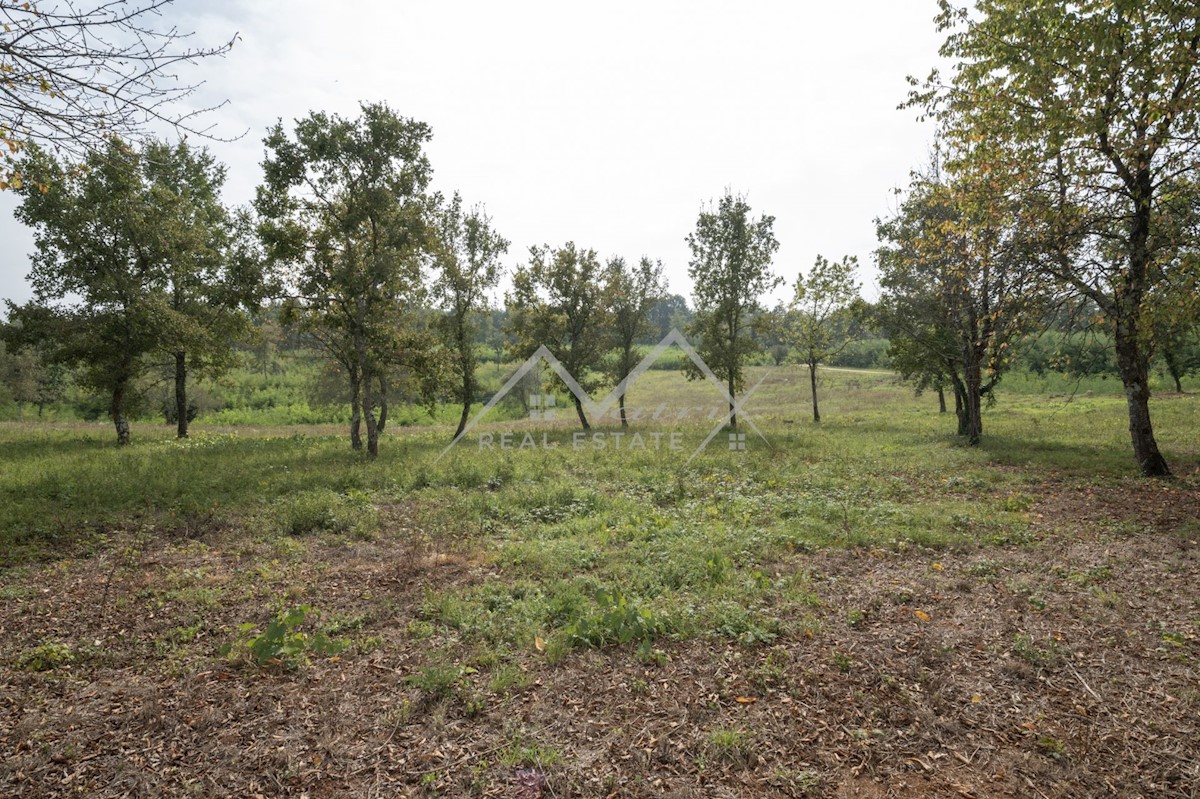 Land For sale - ISTARSKA POREČ