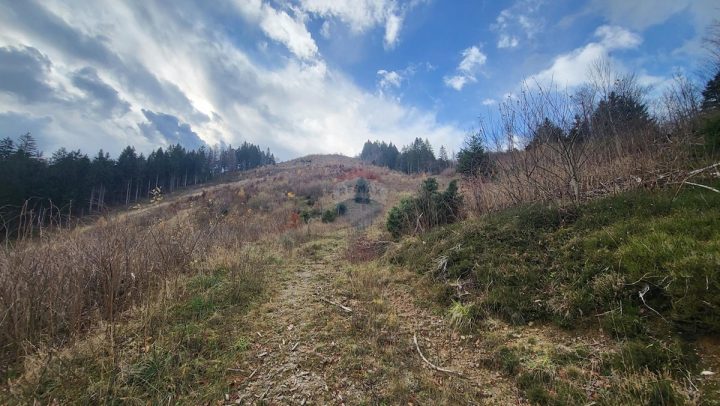 Parcela Naprodaj - Primorsko-goranska Mrkopalj - foto 2/8