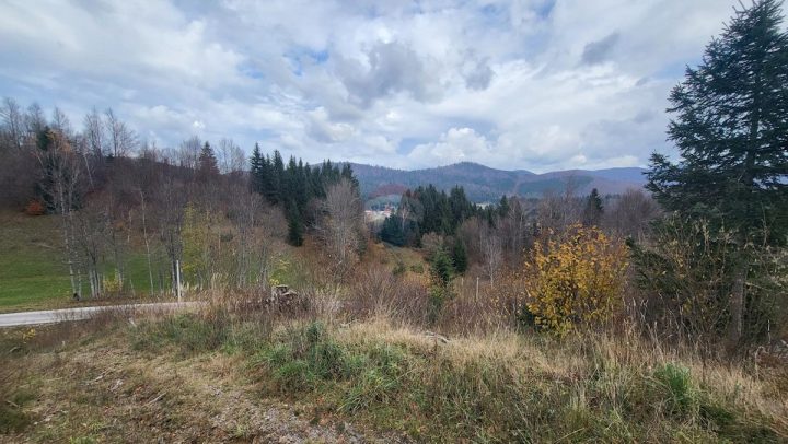 Parcela Naprodaj - Primorsko-goranska Mrkopalj - foto 3/8