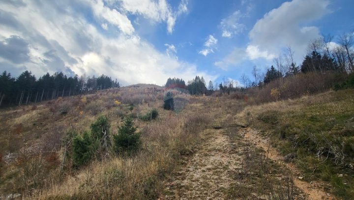 Parcela Naprodaj - Primorsko-goranska Mrkopalj - foto 5/8