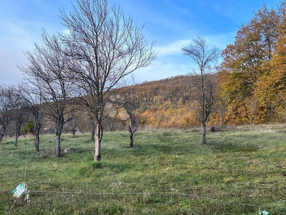 Land For sale - LIČKO-SENJSKA OTOČAC