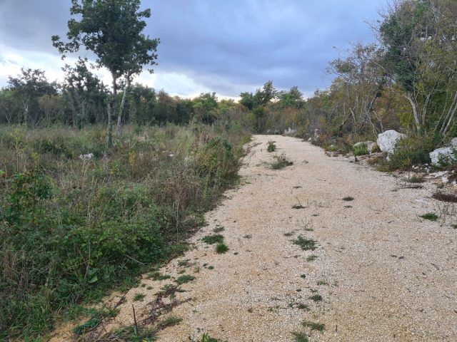 Grundstück zu verkaufen 1600 m² – Labin