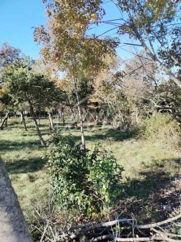 Land for sale 1247 m² – Barban