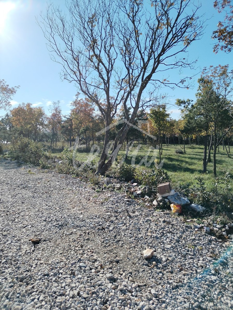 Pozemok Na predaj - ISTARSKA BARBAN