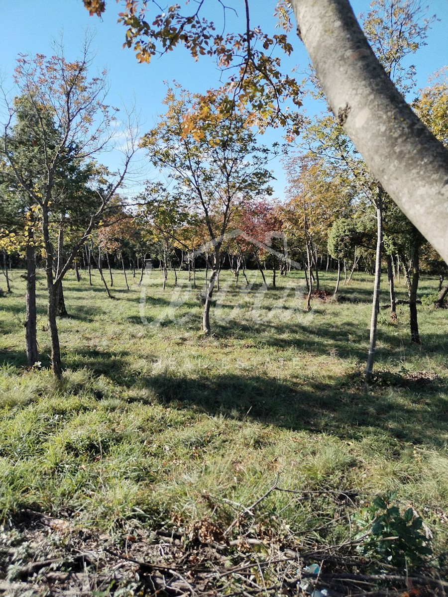 Pozemok Na predaj - ISTARSKA BARBAN