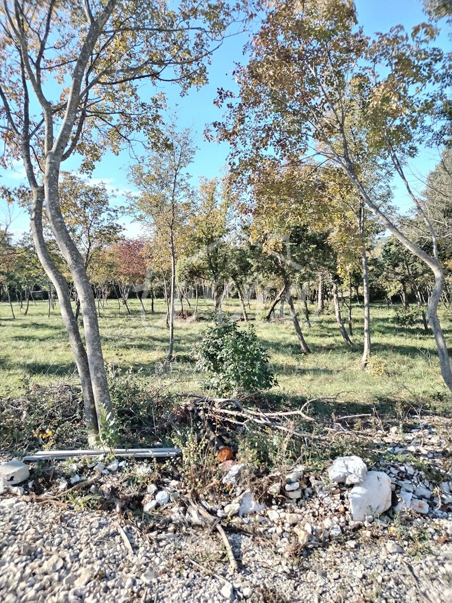Parcela Naprodaj - ISTARSKA Barban