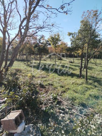 Zemljište na prodaju 1284 m² – Barban