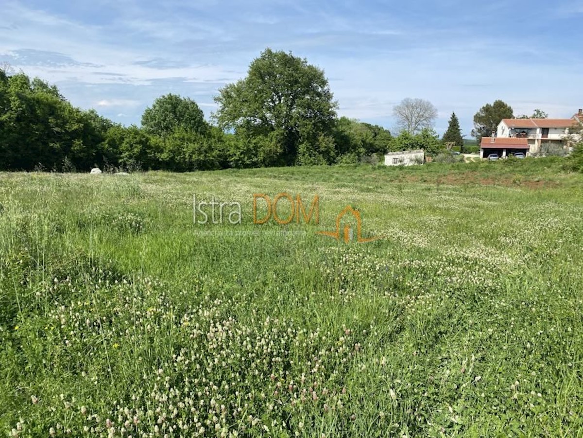 Land For sale - ISTARSKA BARBAN