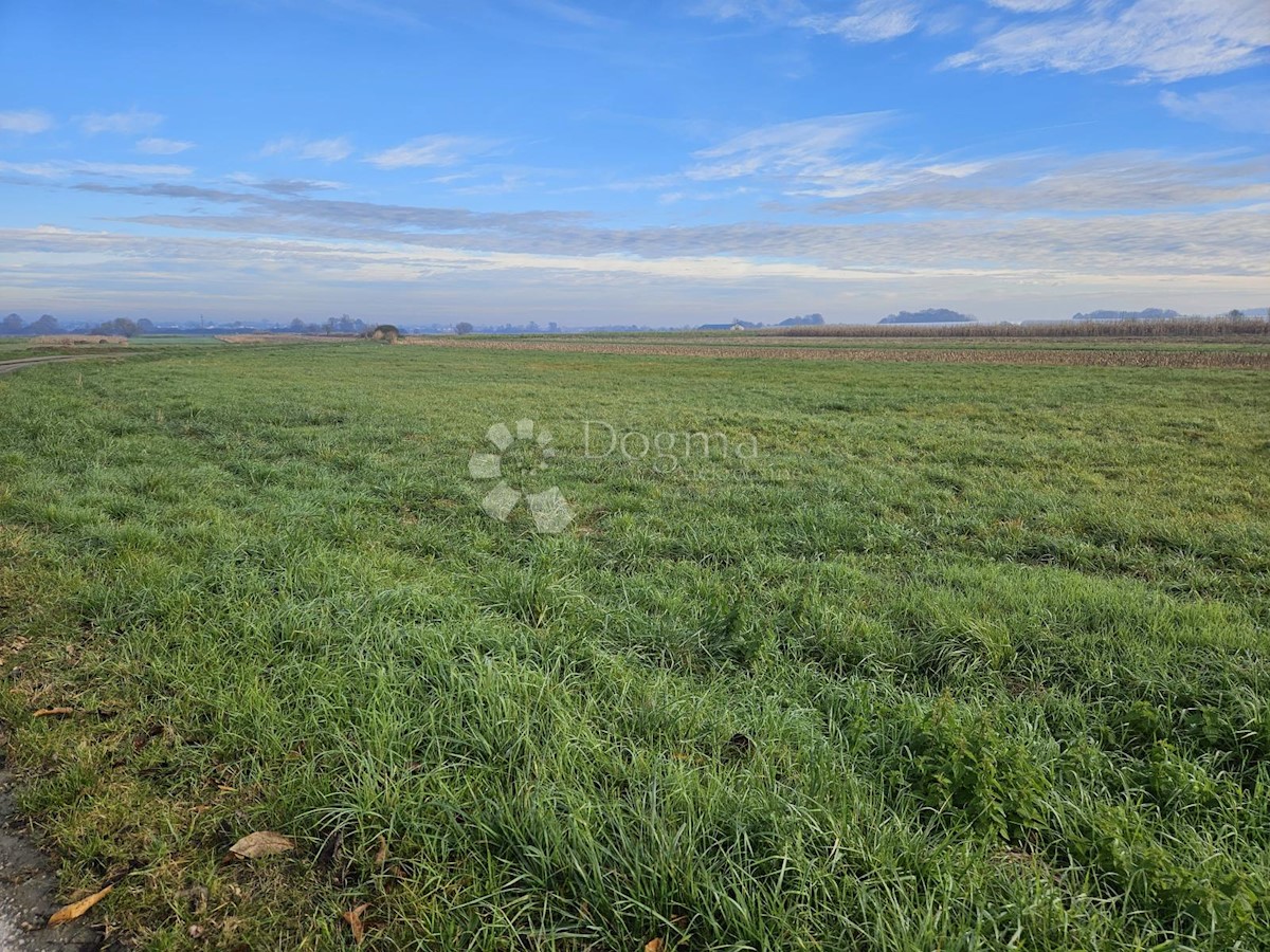 Land For sale - VARAŽDINSKA SVETI ILIJA