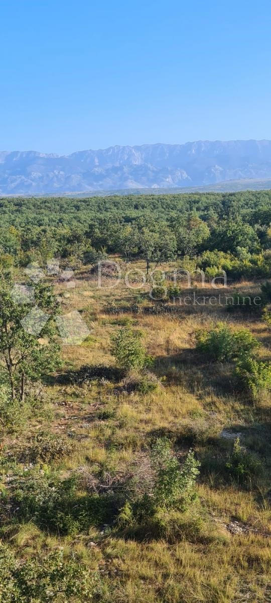 Terrain À vendre - ZADARSKA Poličnik