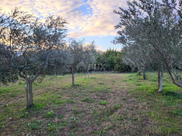 Terrain À vendre - Istarska Svetvinčenat - foto 3/8