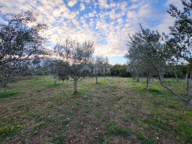 Terrain À vendre - Istarska Svetvinčenat - foto 4/8
