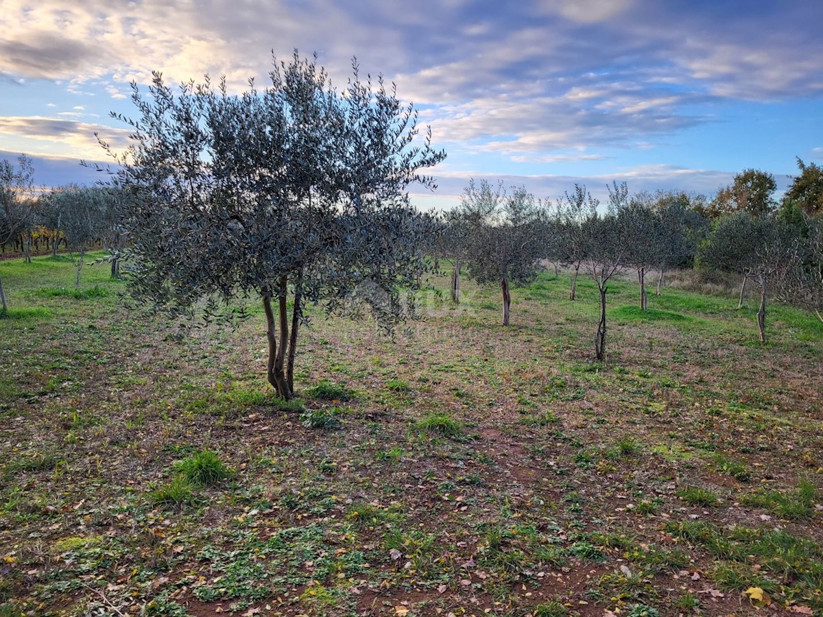 Terreno In vendita - ISTARSKA SVETVINČENAT