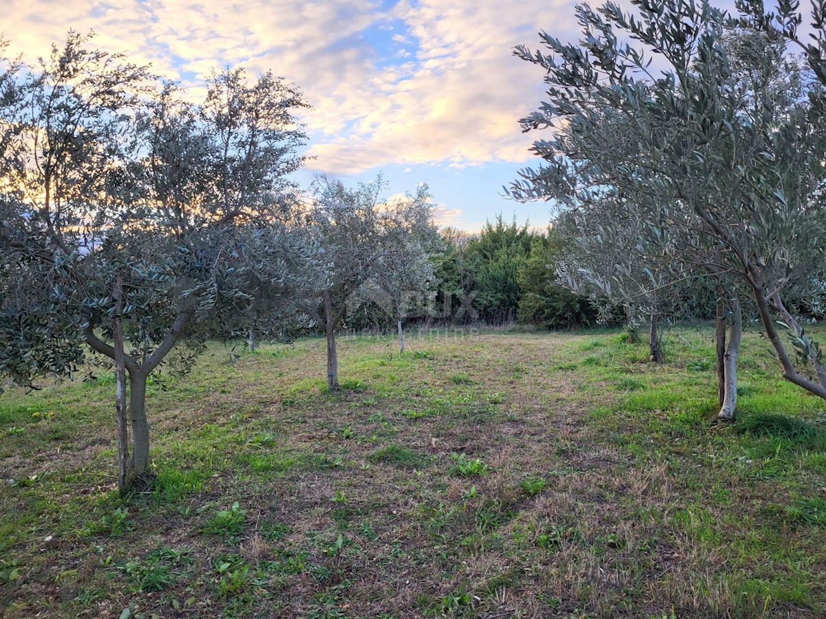 Terreno In vendita - ISTARSKA SVETVINČENAT