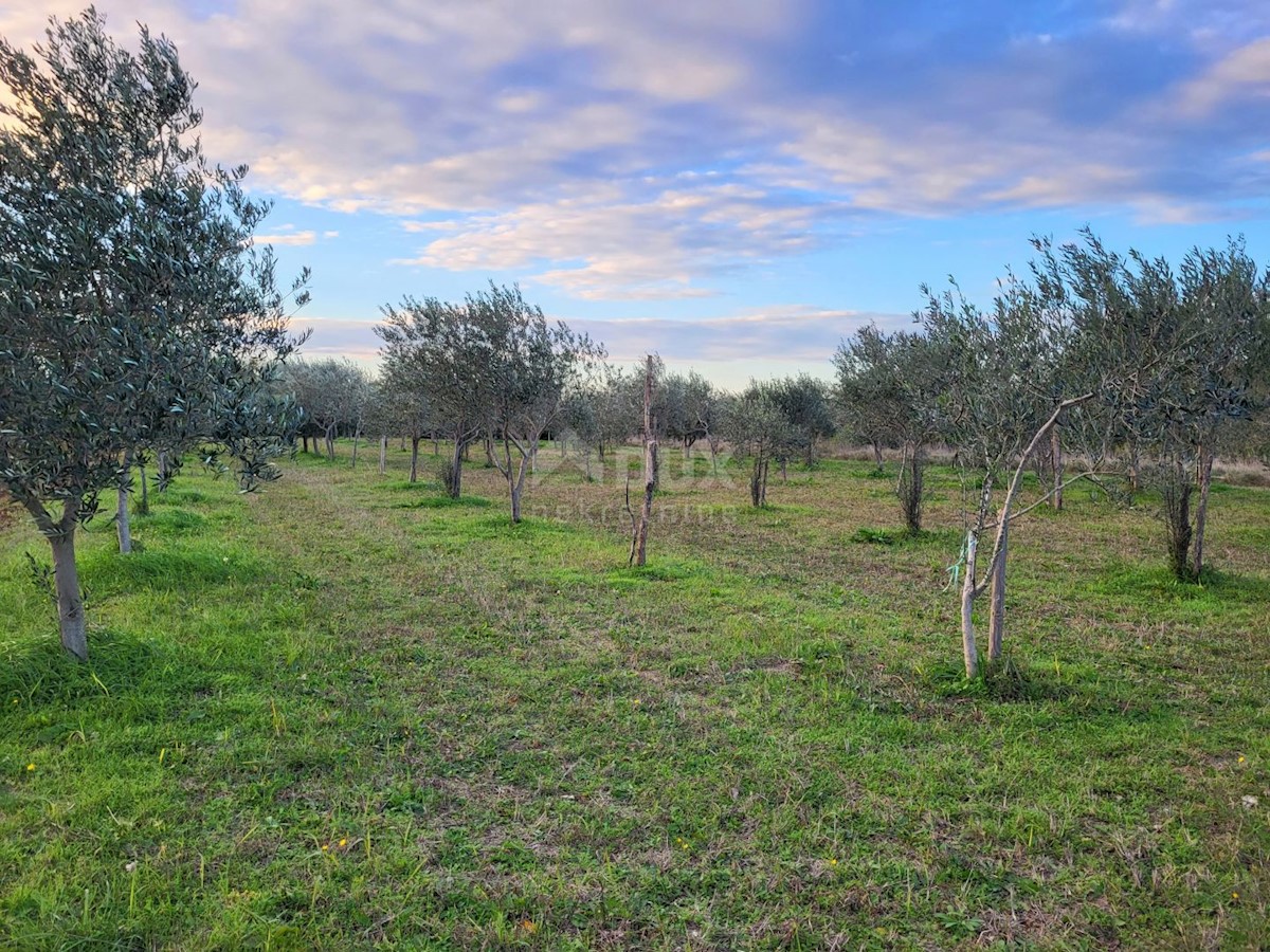 Terreno In vendita - ISTARSKA SVETVINČENAT