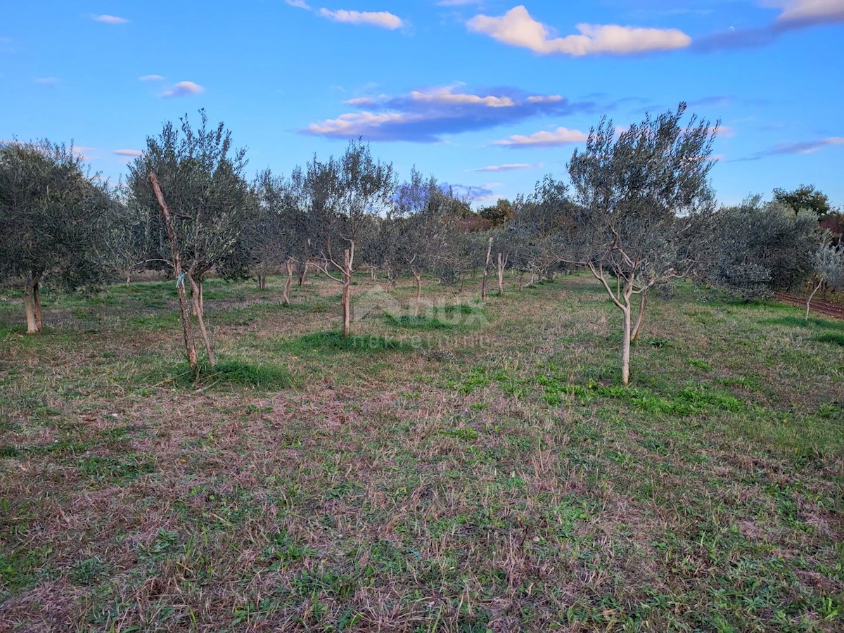 Terreno In vendita - ISTARSKA SVETVINČENAT