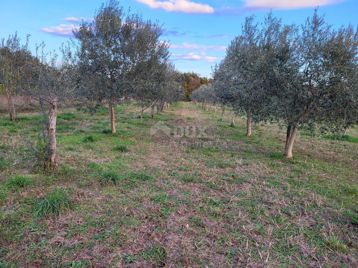 Terreno In vendita - ISTARSKA SVETVINČENAT