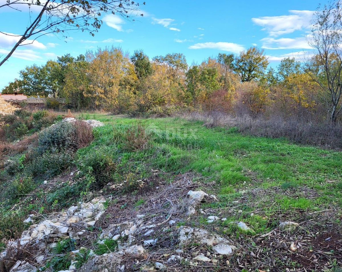 Terrain À vendre - Istarska Kanfanar - foto 3/4