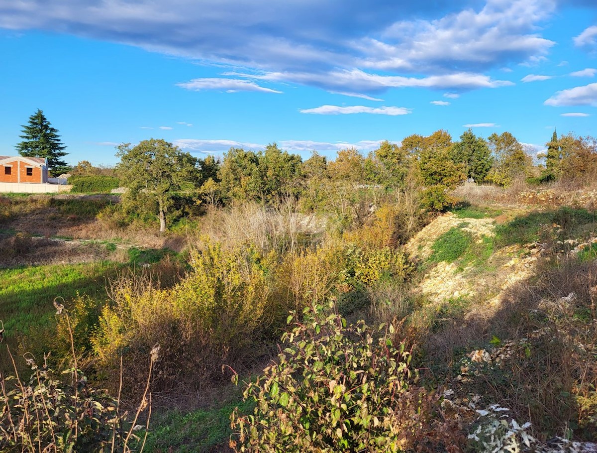 Terrain À vendre - Istarska Kanfanar - foto 4/4