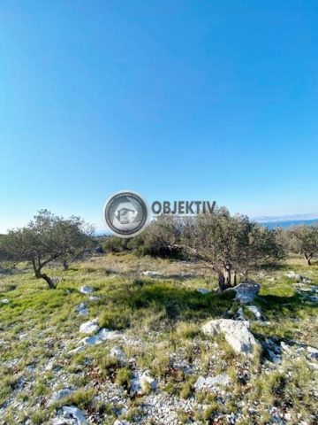 Terrain à vendre 6900 m² – Mirca