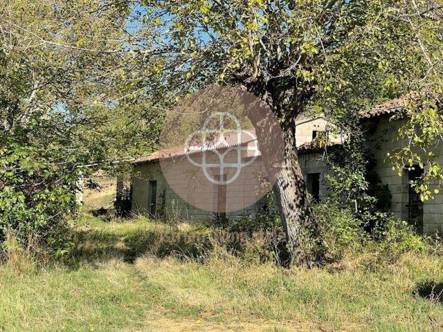 Maison À vendre - Istarska Pićan - foto 3/19