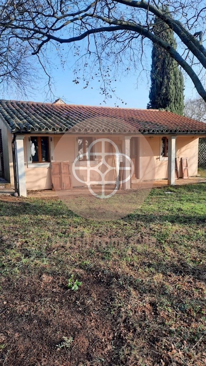 House For sale - ISTARSKA BARBAN