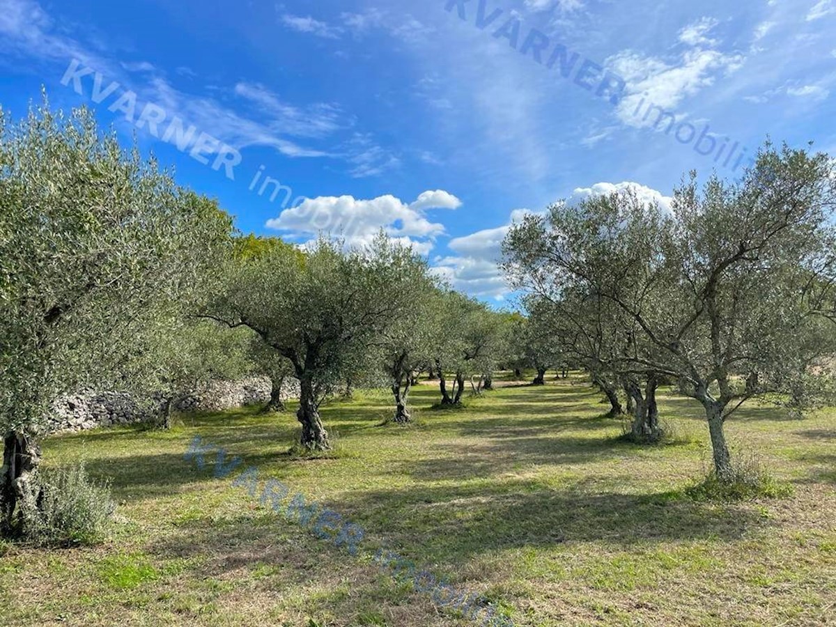 Land For sale VRBNIK