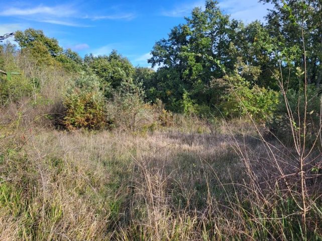 Działka na sprzedaż 7975 m² – Žminj