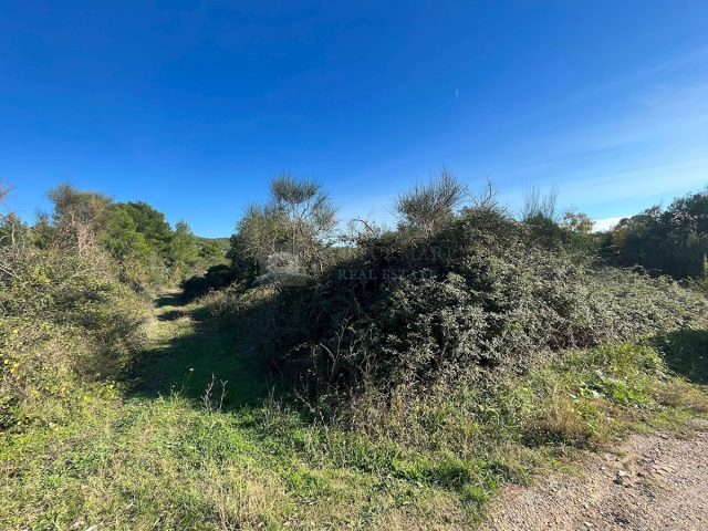 Land for sale 2768 m² – Tribunj